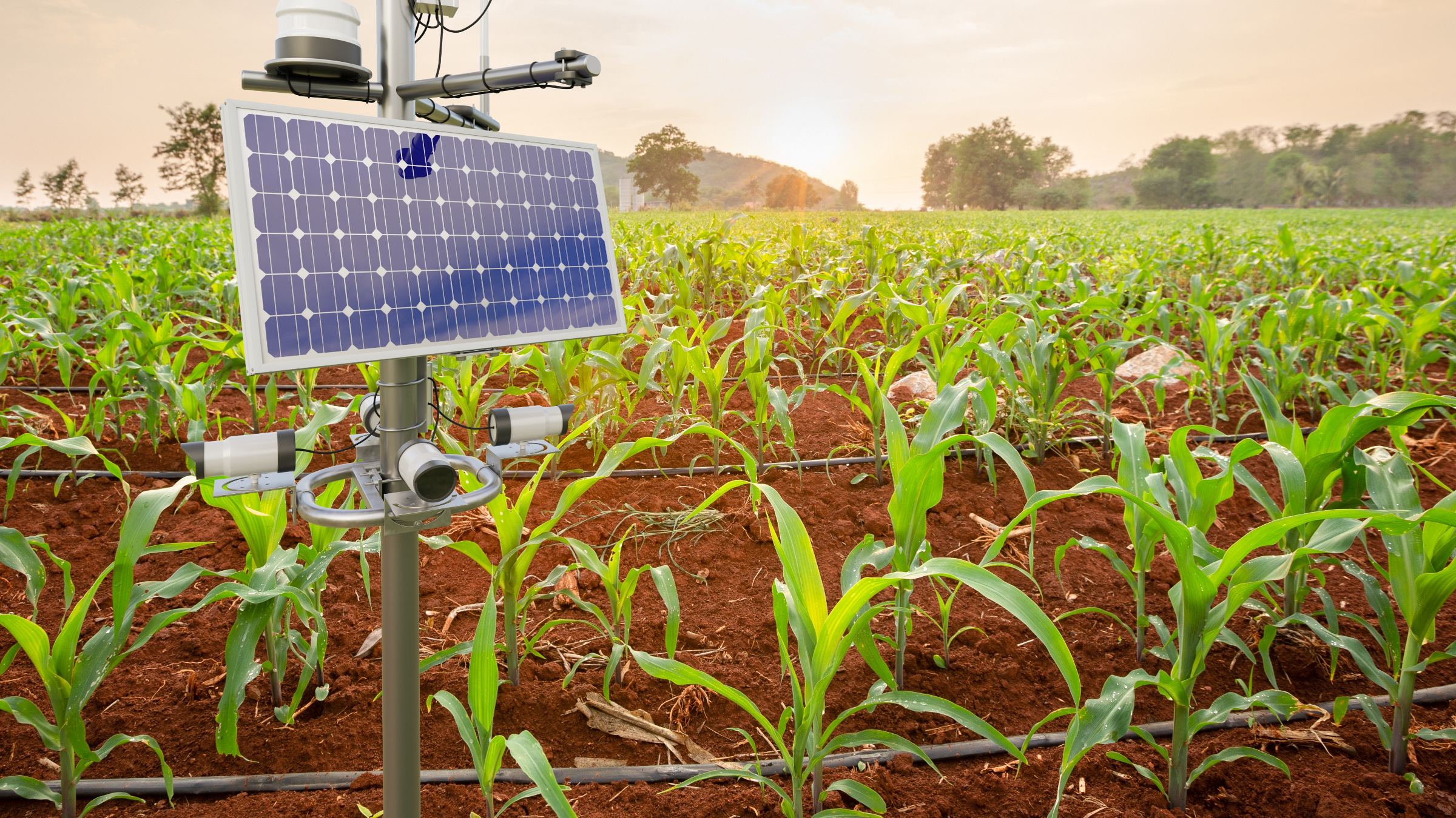 Smart Agriculture